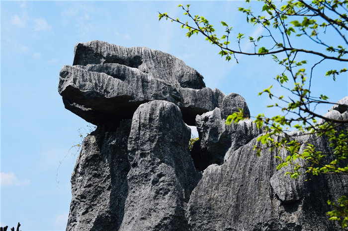 怪石林风景区