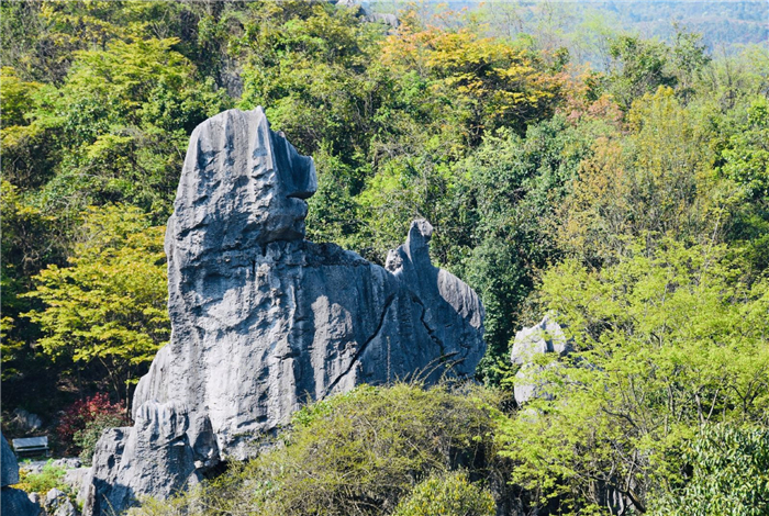 怪石林风景区