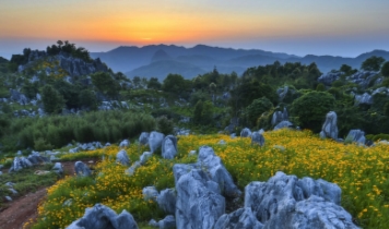 怪石林风景区