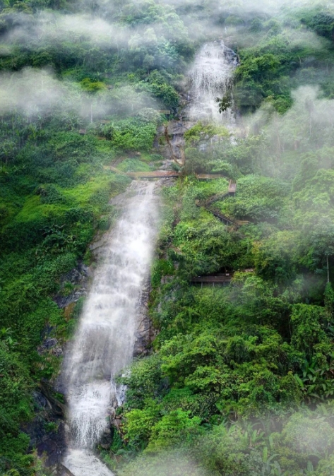 海南百花岭