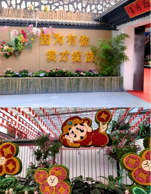 青州花博會(huì)門票