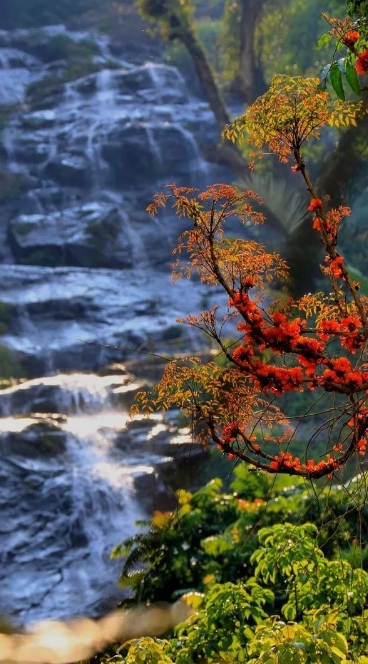 海南百花嶺