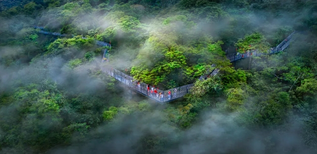 海南百花岭