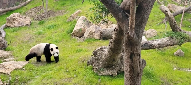 寧波野生動(dòng)物園