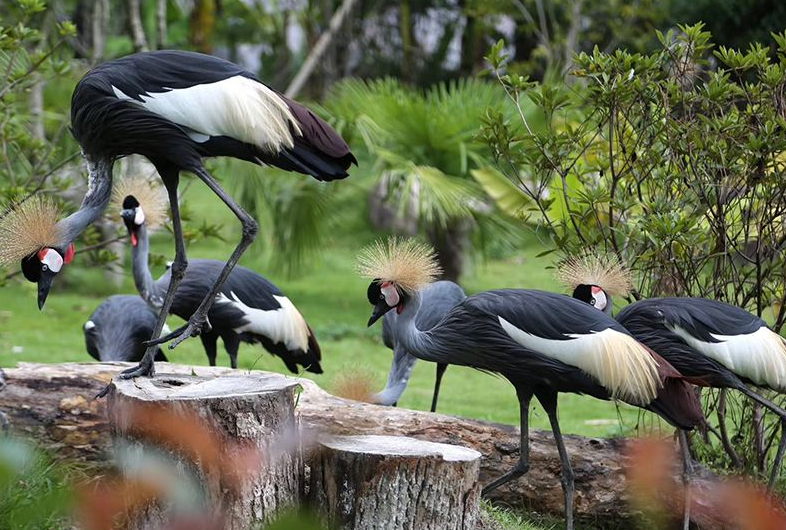 寧波野生動(dòng)物園