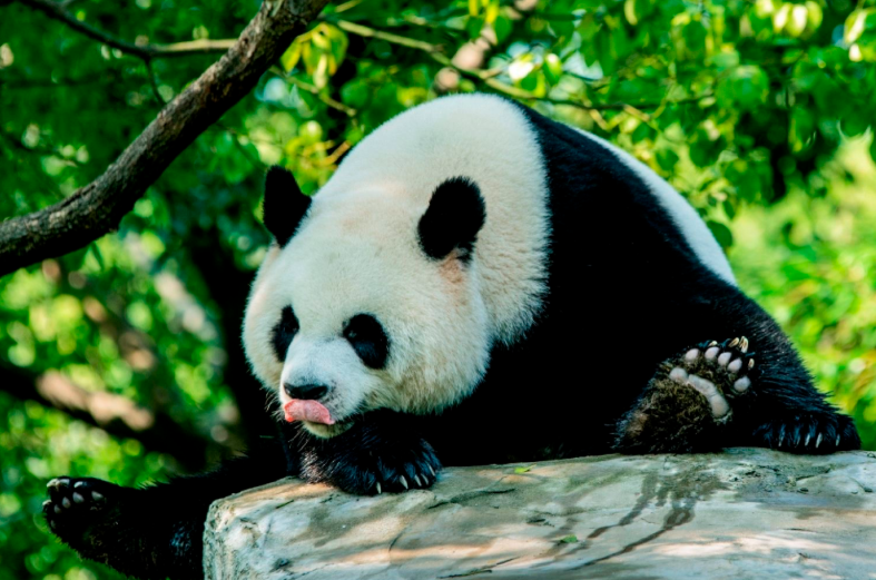 寧波野生動(dòng)物園