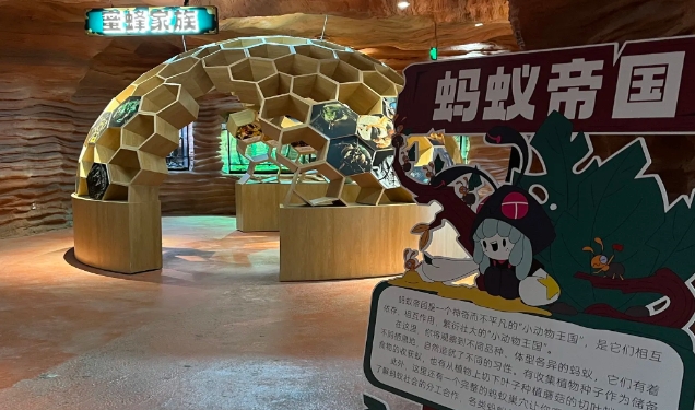 星沐森林昆蟲自然博物館5.png