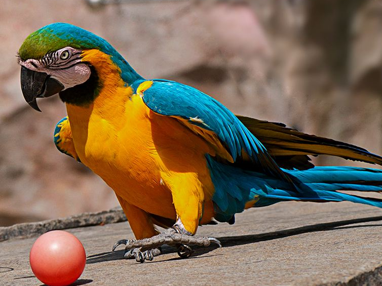 寧波野生動物園