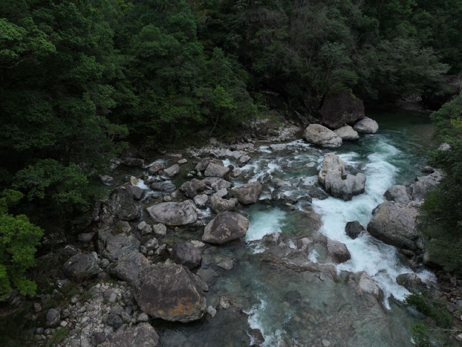 武夷山國(guó)家公園1號(hào)風(fēng)景道3.png