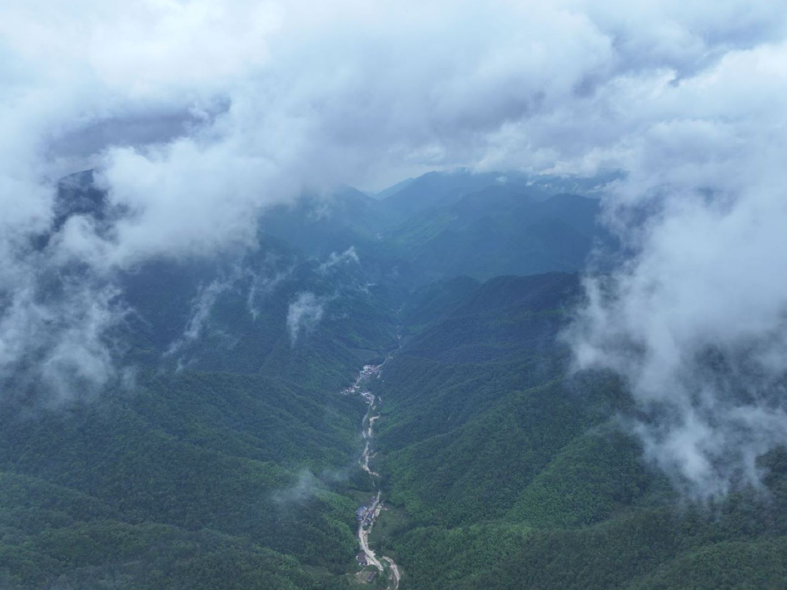 武夷山國家公園1號風(fēng)景道4.png