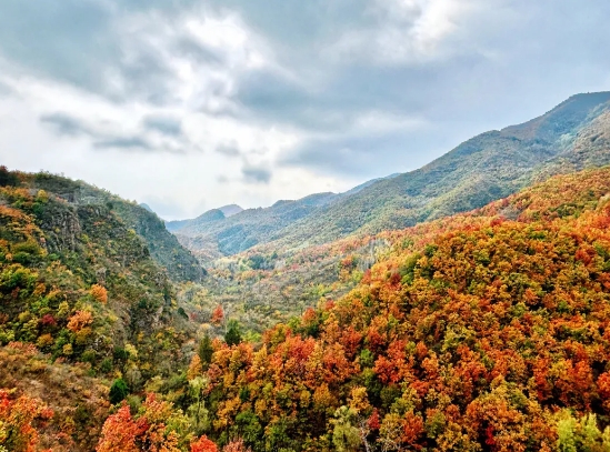 北京百里山水畫廊