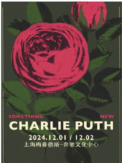 斷眉Charlie Puth上海演唱會