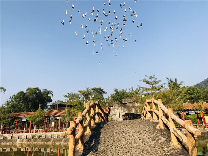 防城港百鳥樂園