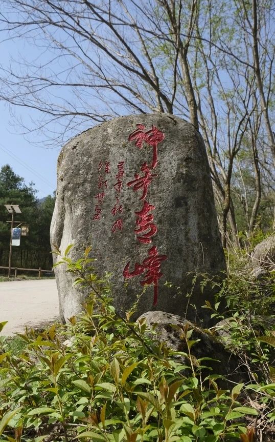 寶雞青峰峽森林公園