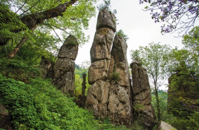 通天河國(guó)家森林公園4.png