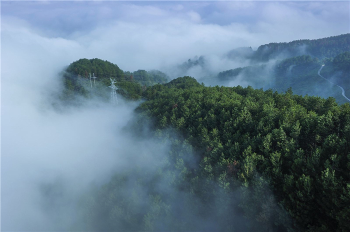 重庆雨台山风景区