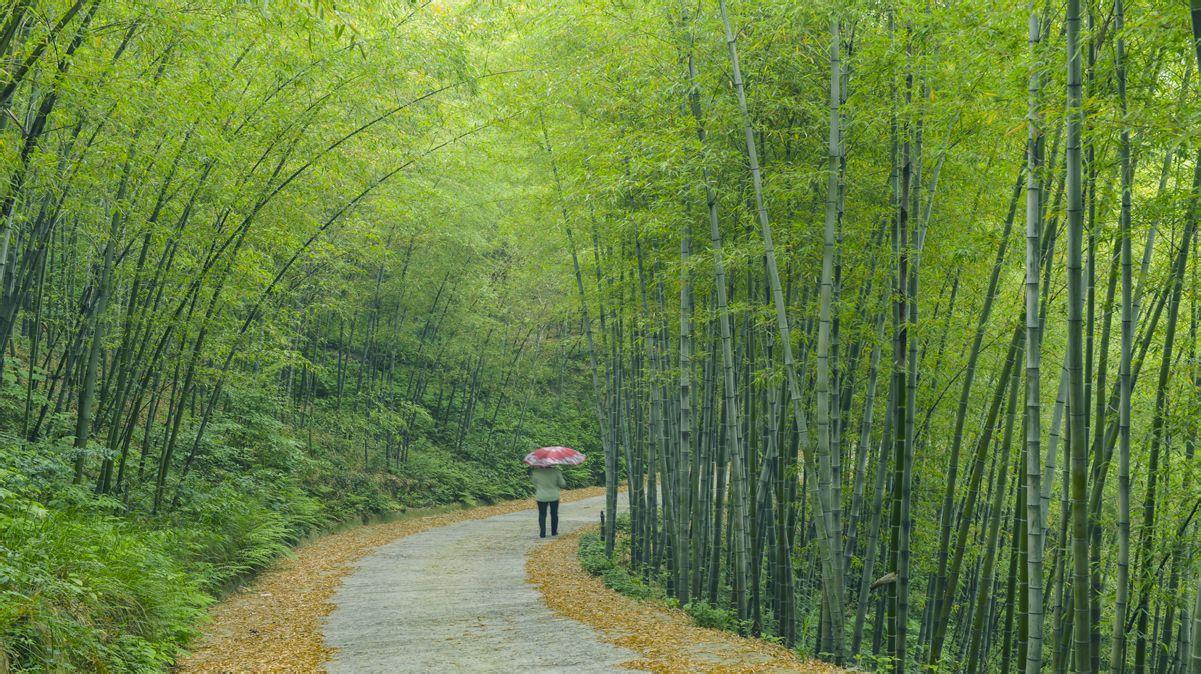 西九華山風(fēng)景區(qū)