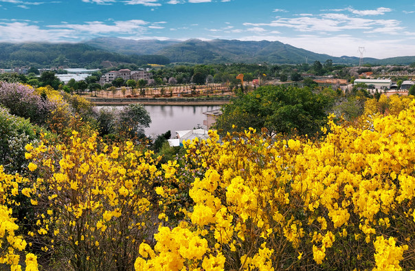 廣州藍(lán)田紫林旅游區(qū)