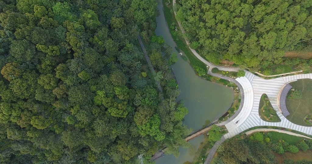 南寧高峰森林公園