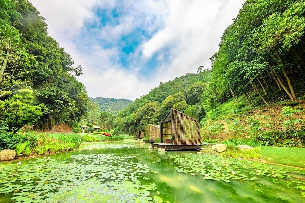 南寧高峰森林公園