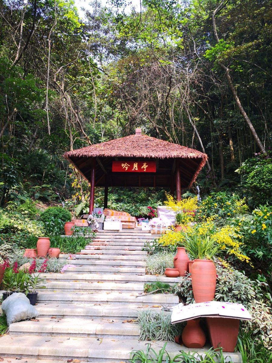 南寧高峰森林公園