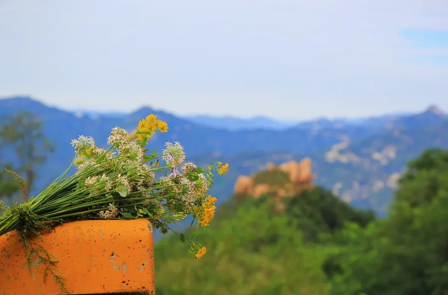 迪山云顶风景区