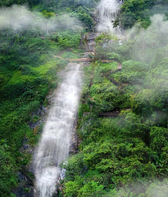 海南百花嶺