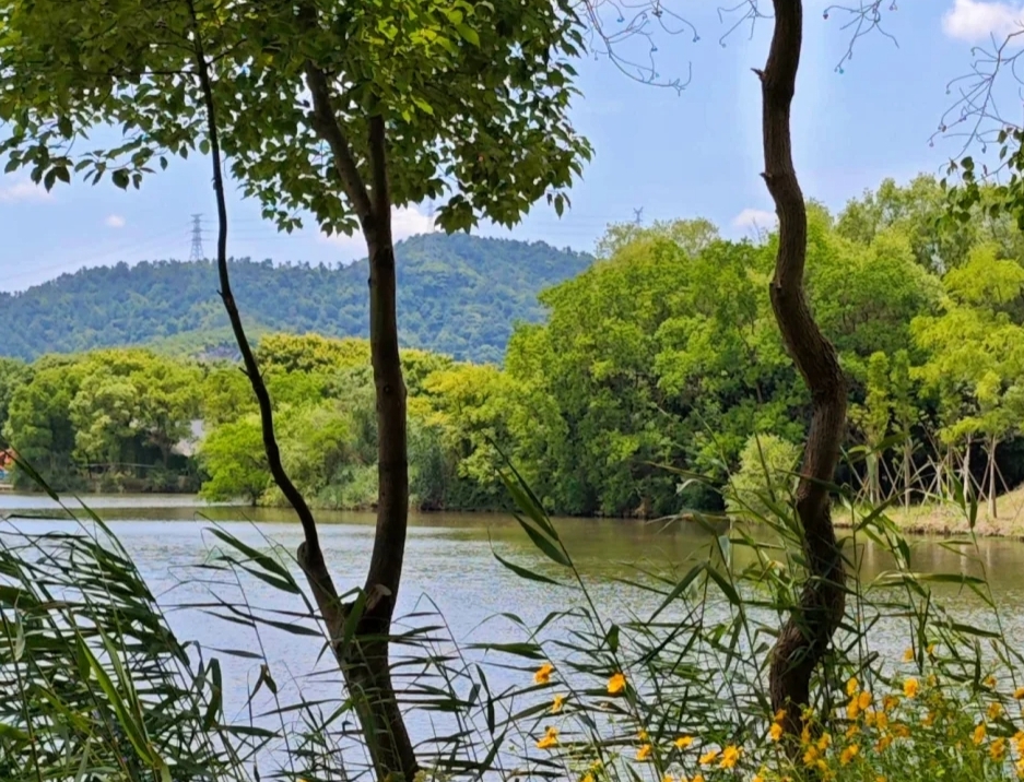 白塔湖國(guó)家濕地公園