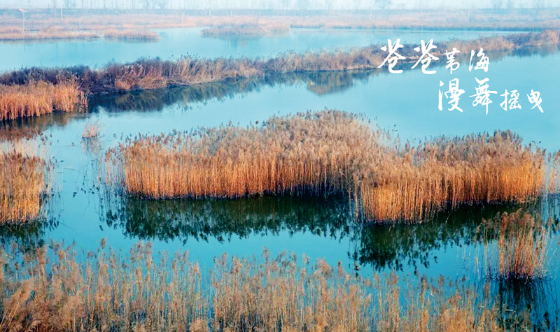 2025合陽(yáng)洽川風(fēng)景名勝區(qū)門票價(jià)格+景點(diǎn)介紹+地址