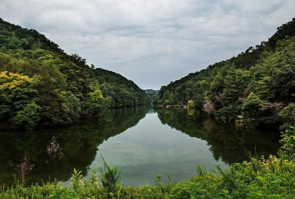 常德太陽山森林公園