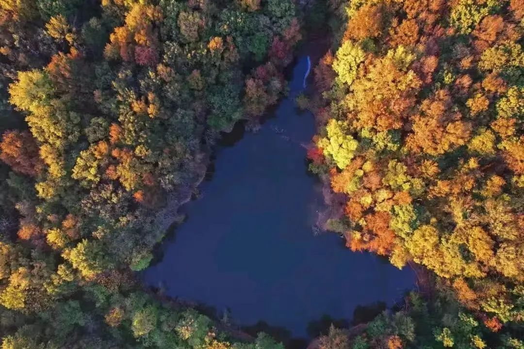 寶華山國(guó)家森林公園