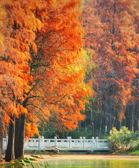 太湖黿頭渚風(fēng)景區(qū)