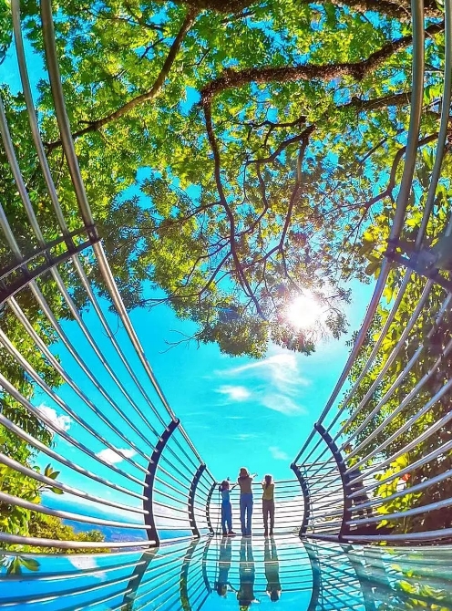 海南百花岭彩虹栈道