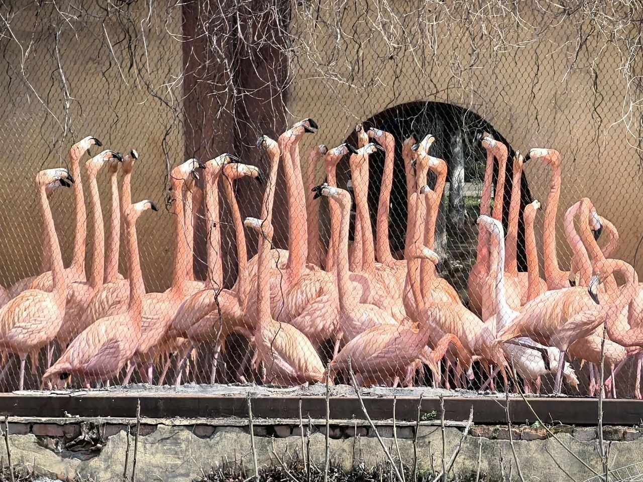 南昌動物園