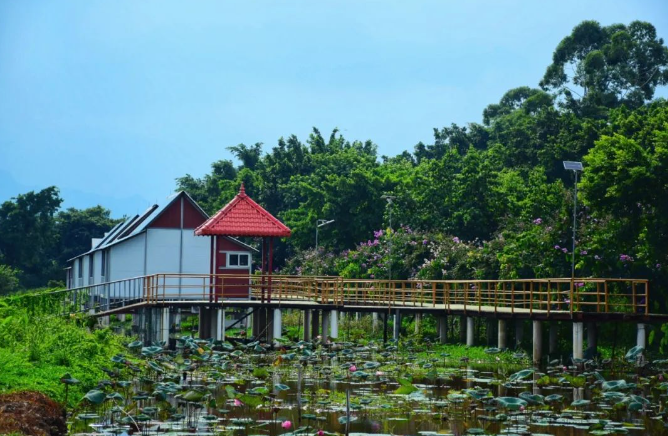 天湖鹭鸟生态风景区3.jpg