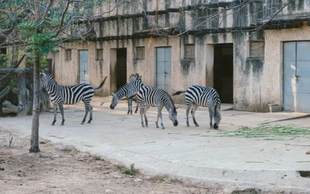 南昌動物園