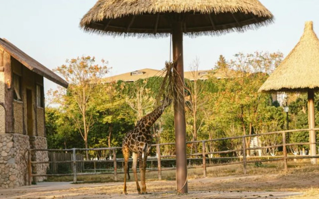 南昌動物園