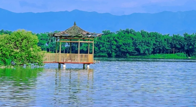 天湖鷺鳥生態(tài)風景區(qū)