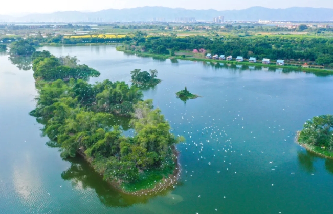 天湖鷺鳥生態(tài)風景區(qū)