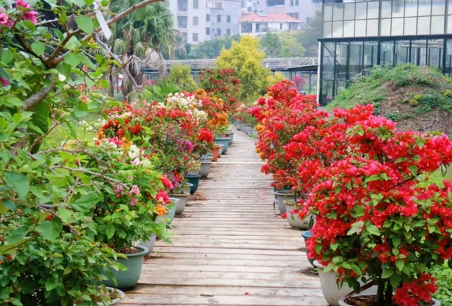 湛江南國(guó)熱帶花園