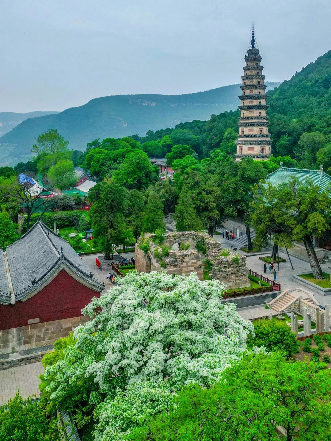 好客山東一碼通旅游年卡