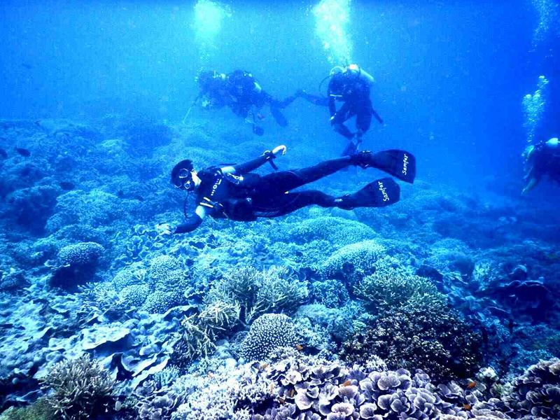 亞龍灣愛琴海PADI潛水度假村2.jpg