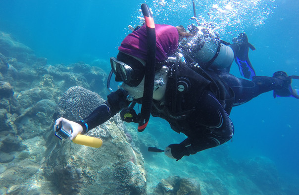 亞龍灣愛琴海PADI潛水度假村1.jpg