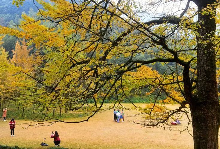 永州桐子坳景區(qū)