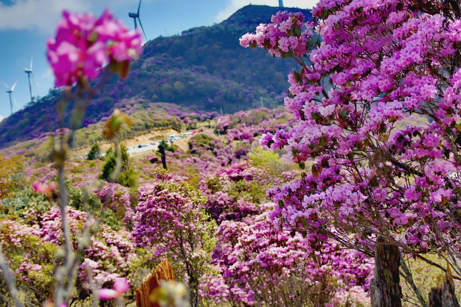 麗江格拉丹景區(qū)