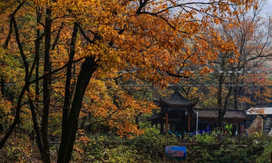 駐馬店金頂山