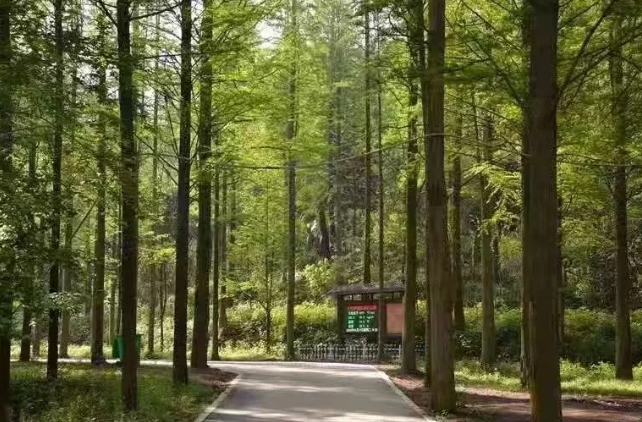 九江天花井國(guó)家森林公園