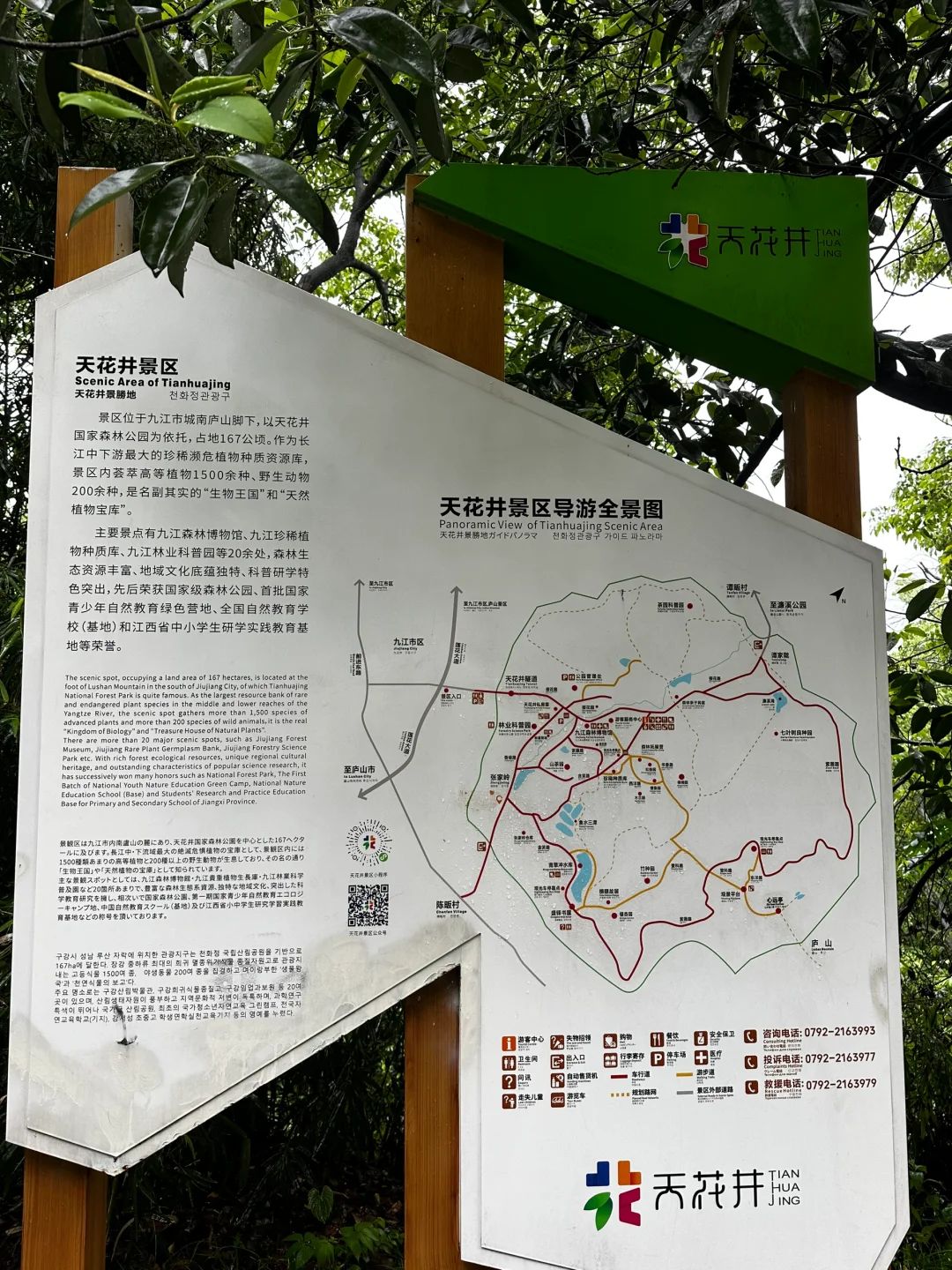 九江天花井國家森林公園