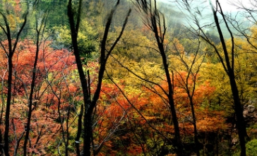 駐馬店金頂山