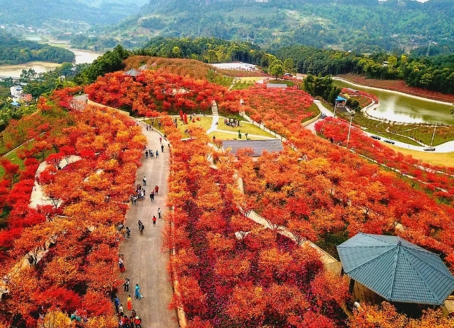 重慶南湖多彩植物園